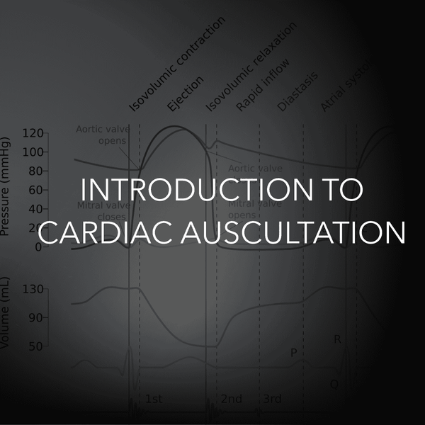 Introduction to cardiac auscultation text over heart pressure-volume graph