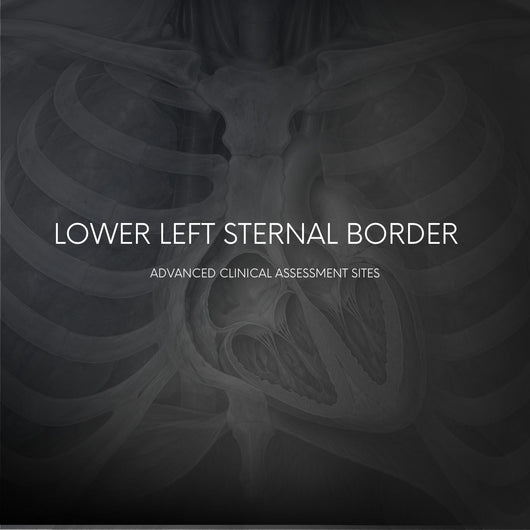 Lower Left Sternal Border Auscultation
